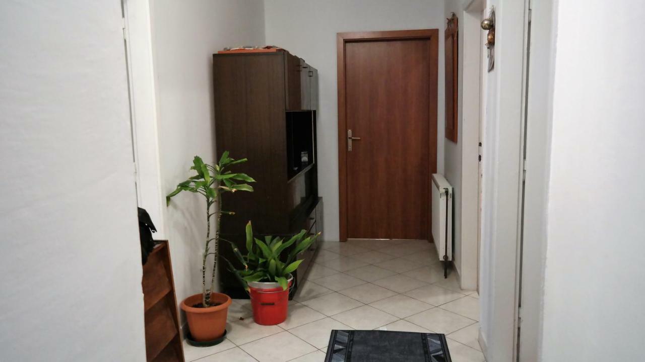 Zorica Apartamento Brodarica (Sibenik-Knin)